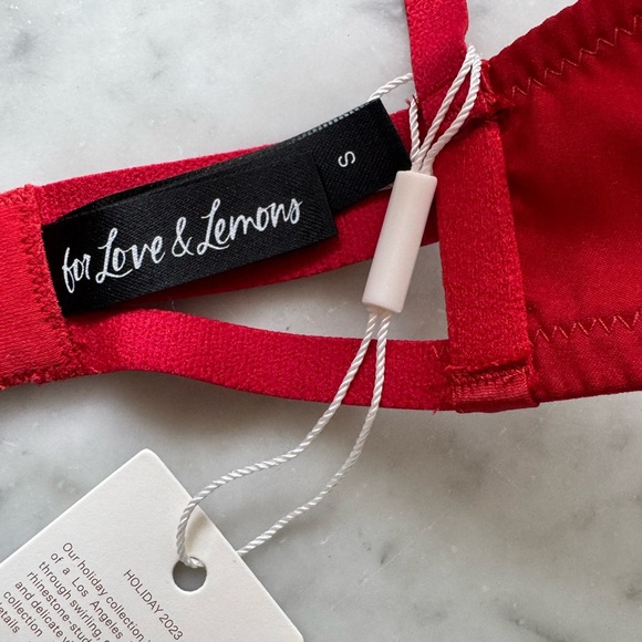 for love and lemons rose embroidered bra🌹 - Picture 5 of 9